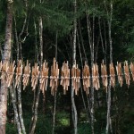Arte Sella, la natura come non l’avete mai vista 2 Anthony Howe: il vento di Sella. Tutto si muove, ma mai nella stessa direzione