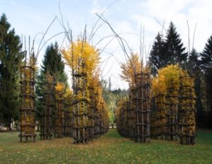 Arte Sella, la natura come non l’avete mai vista 5 Giuliano Mauri: cattedrale vegetale Ha le dimensioni di una vera cattedrale gotica