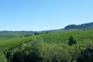 Che cosa c'entra Barolo con il cavatappi?