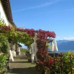 L’orto in terrazzo: quando il cibo diventa integralismo 11 E se l'orto in terrazza nascondesse una forma di integralismo?