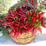 Cibo e salute: come essere divinamente giovani 7 Cibo e salute: come il cibo può aiutare a rimanere giovani