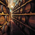 Masciarelli: vini che dovresti conoscere 9 masciarelli vini