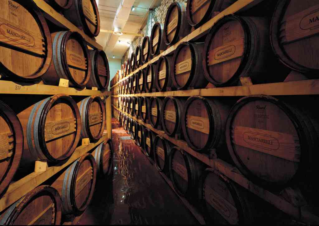 masciarelli vini