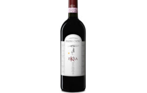 Masciarelli: vini che dovresti conoscere 2 L’uva viene da vigneti posti tra il Gran Sasso e la costa adriatica, sulle Colline Teramane. Iskra (scintilla nelle lingue slave) fermenta in acciaio, successivamente matura in barriques per 12 mesi e affina in bottiglia ancora per due anni.