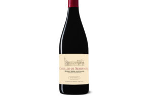 Masciarelli: vini che dovresti conoscere 6 La nuova sfida di Masciarelli?Rosso Igt Terre Aquilane, un blend di Merlot, Cabernet Sauvignon e Montepulciano , vinificato in acciaio e fatto maturare in bottiglia per 12 mesi e il Pecorino Doc