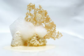 bottura piatto Parmigiano