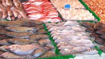 Consigli per comprare pesce da consumare crudo