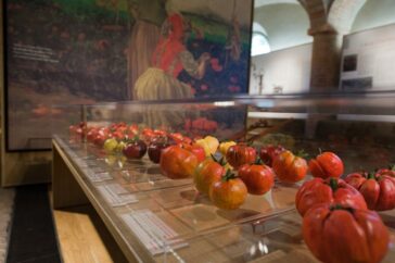 musei del cibo museo del pomodoro e1612047335867