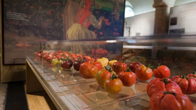 musei del cibo museo del pomodoro e1612047335867