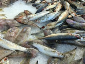 Noi siamo ciò che mangiamo: il cibo e la nostra identità culturale 8 pesce
