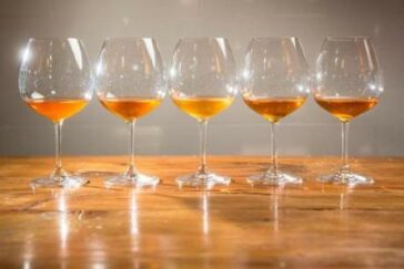 3 o 4 i colori del vino? Sentito parlare degli orange wines? 16 Quanti conoscono la risposta esatta? Quanti risponderebbero: rosso, bianco, rosé. E invece no: c'è un quarto colore. Mai sentito parlare di orange wines?