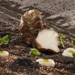 Ricetta vegetariana: topinambur. L'acquario vegetale di Marco Sacco 12 topinambur-acquario-vegetale-marco-sacco