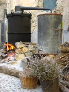 Airole: festa della lavanda