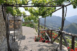 Airole e il roccese, vino recuperato da Dino Masala