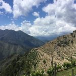 Il tipico vino Roccese: "A Trincea" ad Airole 8 airole vigneti