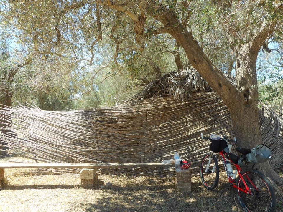 Nel Salento il Parco dei Paduli: vivere l’ulivo 2 Salento
