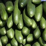 Ricetta primaverile: rapanelli, tuorlo croccante, rafano e cetriolo 17 L'ultima ricetta primaverile: insalata con rapanelli, rafano, uova e cetrioli