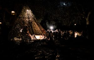 Nidi d'artista nel salento: Parco dei Paduli