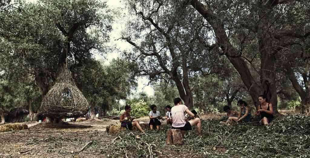 Nel Salento il Parco dei Paduli: vivere l’ulivo 4 paduli in puglia