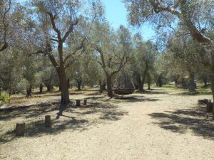 Nel Salento il Parco dei Paduli