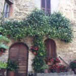 Le emozioni in viaggio... andar per borghi III°parte 17 borghi: montefalco