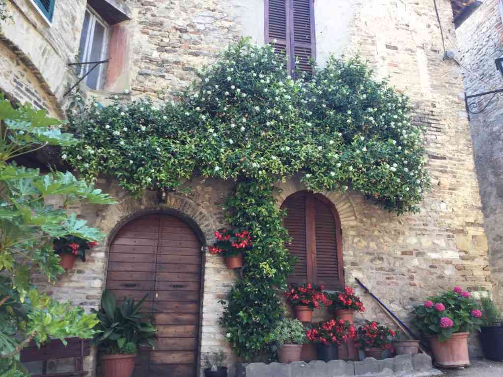 Le emozioni in viaggio... andar per borghi III°parte 18 borghi: montefalco