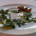 lessico#foodcultural: Terracrèpolo