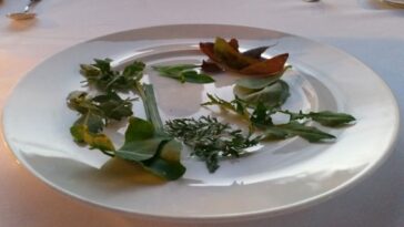 lessico#foodcultural: Terracrèpolo