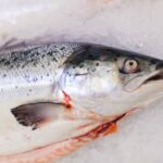 Pesce fresco: le regole per pulirlo limitando gli scarti 14 Pesce fresco: le regole per pulirlo. Come si puliscono capesante, tonno, pesce spada e cozze