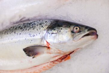 Pesce fresco: le regole per pulirlo limitando gli scarti 12 Pesce fresco: le regole per pulirlo. Come si puliscono capesante, tonno, pesce spada e cozze