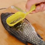 Pesce fresco: come pulirlo