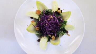 cavoli: insalata di cavoli e mele