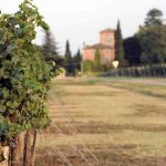lambrusco