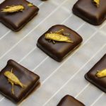 Gli insetti in cucina: ok dall'EFSA al consumo dei vermi gialli 9 insetti in cucina: ma li mangeremo davvero?