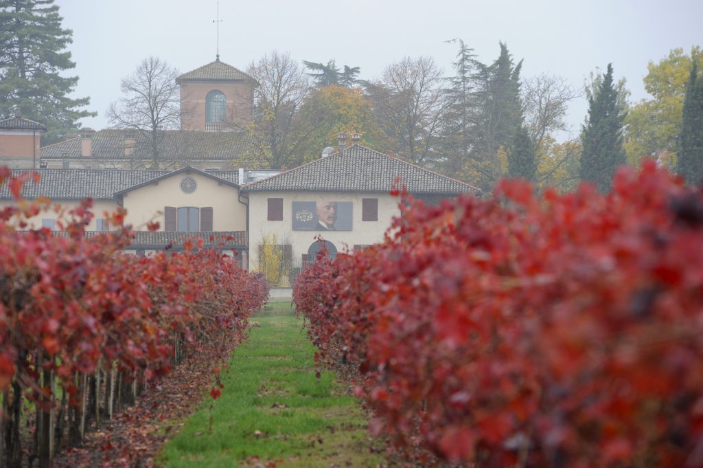 Il Lambrusco dal 1860. In cantina con Cleto Chiarli 1 vigneto cialdini - cleto chiarli
