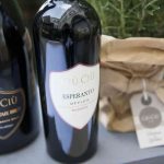 Wine style: come degustare la stagione autunnale...nel bicchiere 2 Wine-style