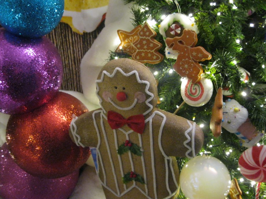biscotti di natale pan di zenzero