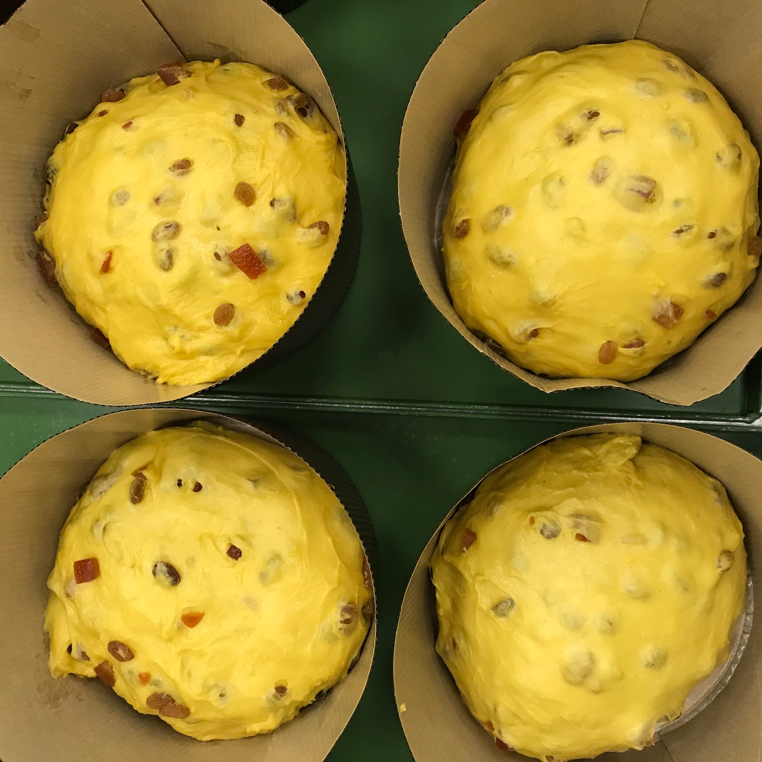 panettone, Nicolò Moschella, ricetta