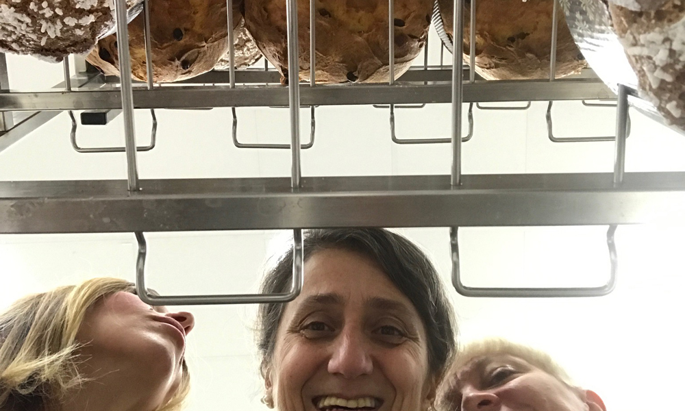 panettone, Nicolò Moschella, ricetta