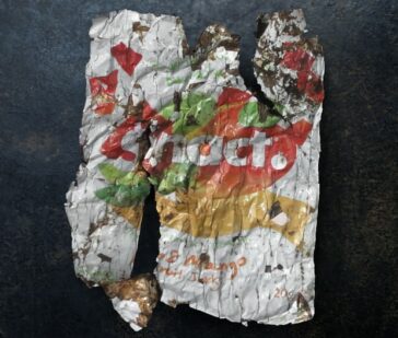 Più plastica che pesce nel mare entro 30 anni. E le bio-plastiche? 2 bio-plastiche