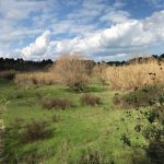 Poco poco di Salento: tutti i colori della Puglia 14 Salento tutti i colori della Puglia