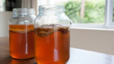 benefici dei cibi fermentati