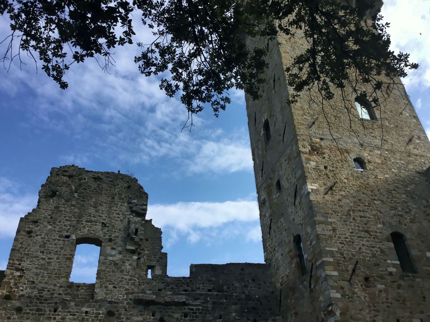 Colli di Luni: la terra del vermentino