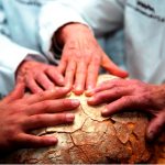 Grani Futuri per costruire modelli di benessere. Un movimento culturale, economico e sociale