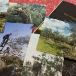 Sardegna & olio: radici, sapori e orizzonti 8 Sardegna & olio