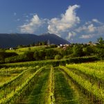 45 motivi per cui è SEMPRE tempo di partire per scoprire il Veneto 35 45 motivi per scoprire il Veneto