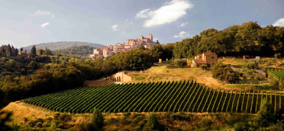 Vino Orcia