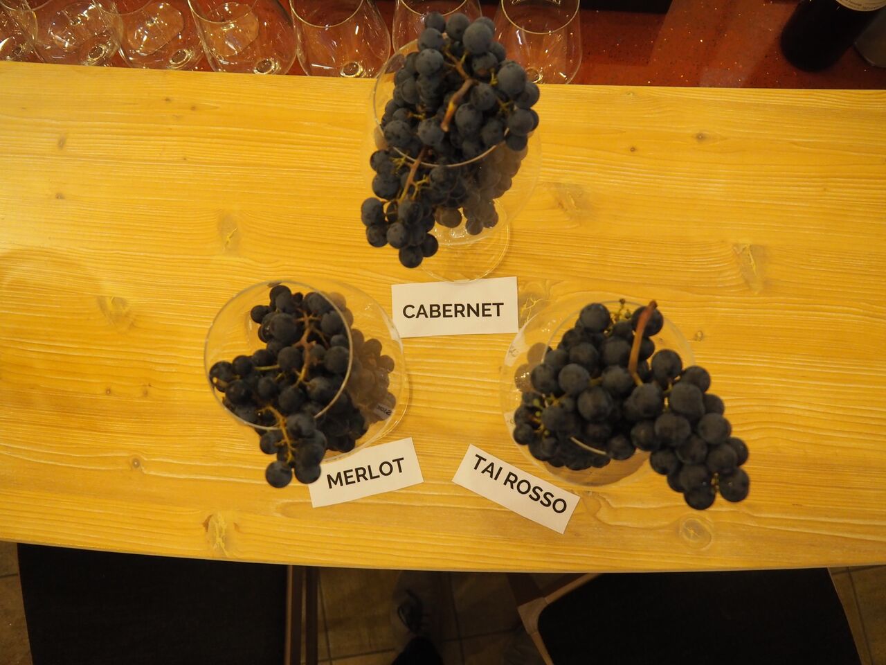 I Colli Berici, tra vino e ville del Palladio