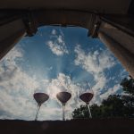 Vacanze e vino: 4 idee per scoprire la Garganega 11 I Colli Berici presentano i loro vini: dal Tai alla Garganega