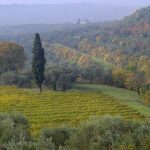 Valpantena, tutti i segreti dell'amarone